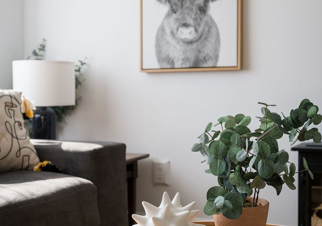 Photo of Livingroom in Prince Edward