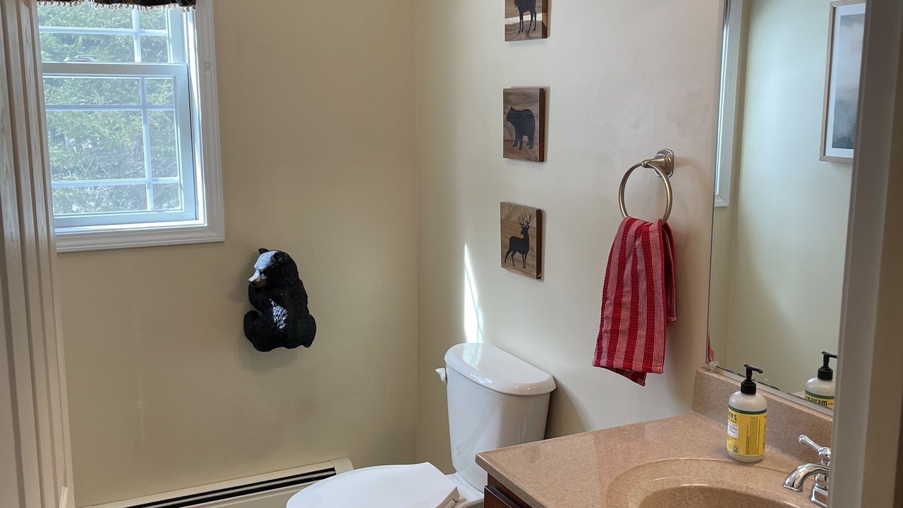 Photo of Bathroom in Town of Webb