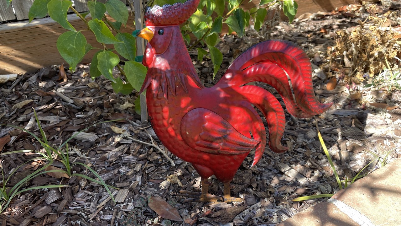 Photo of Outdoor in East Sacramento