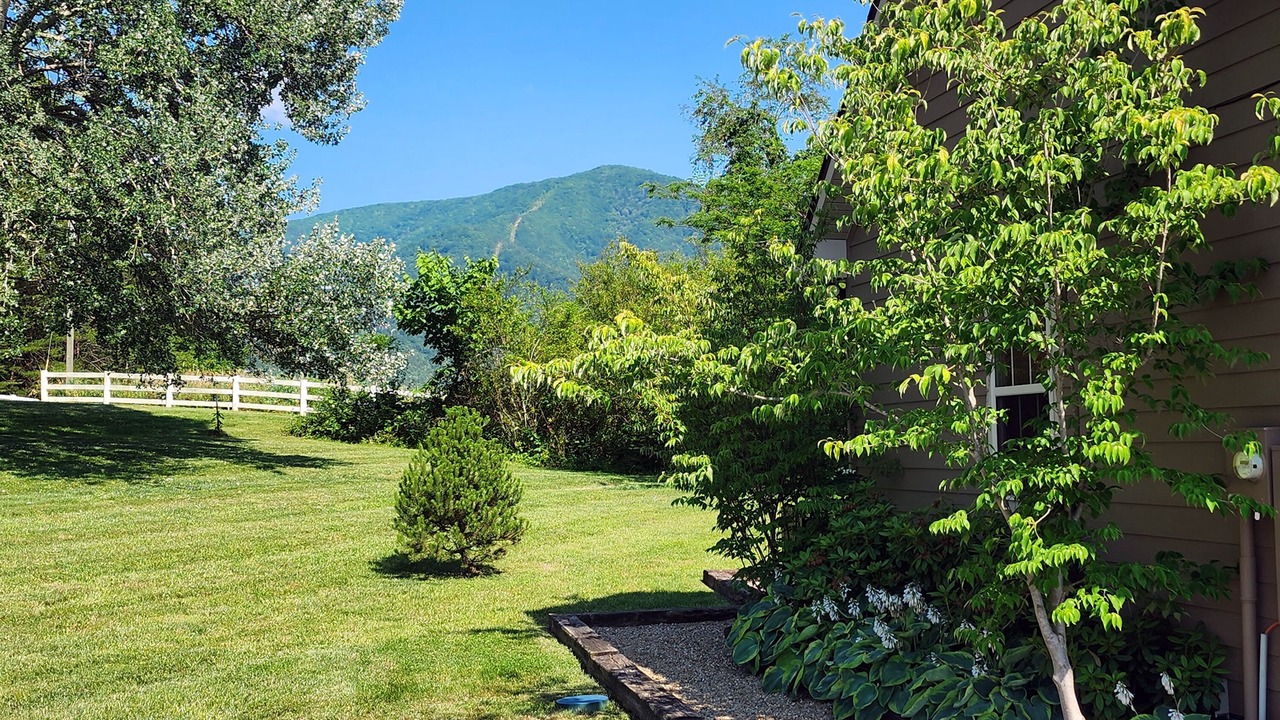 Photo of Outdoor in Wears Valley