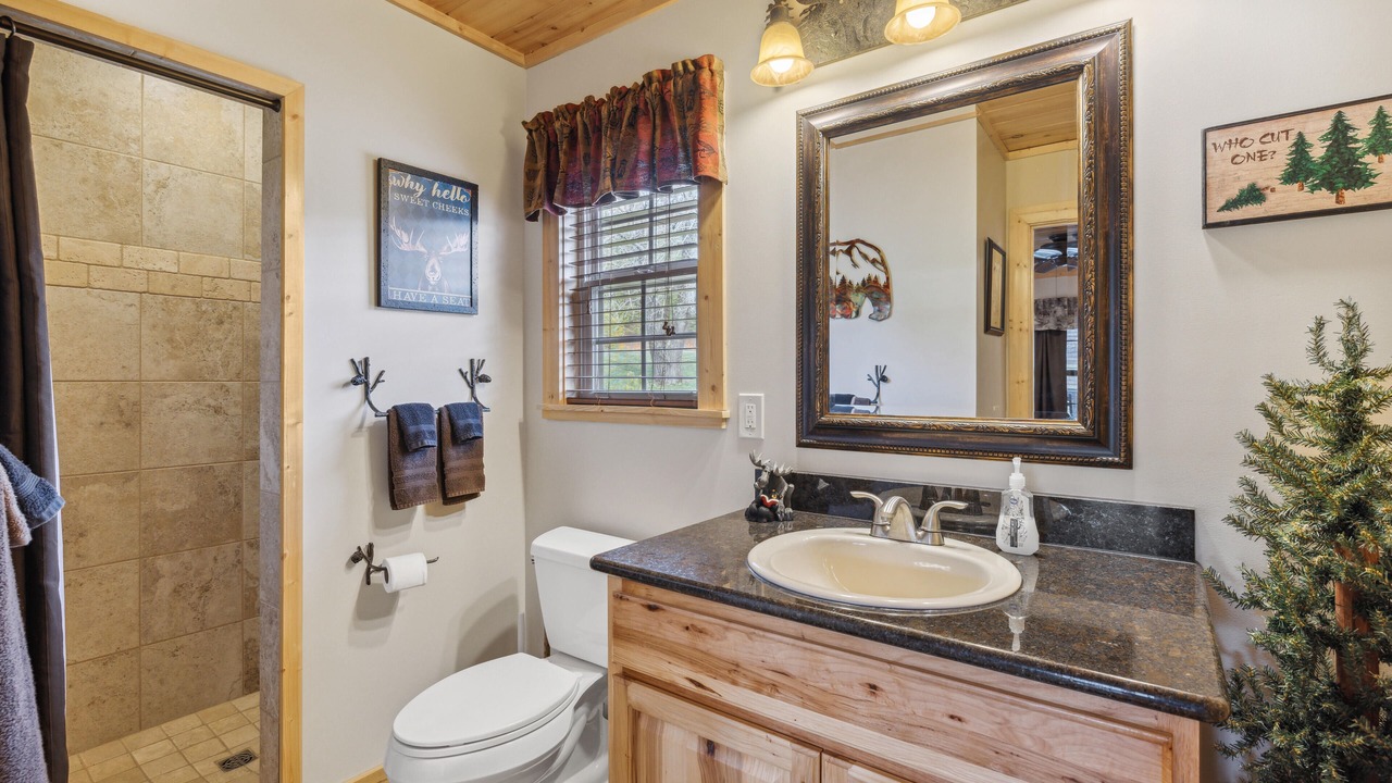 Photo of Bathroom in Wears Valley