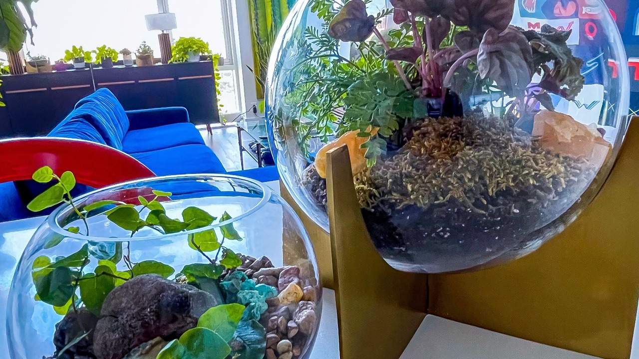 Photo of Others in Williamsburg