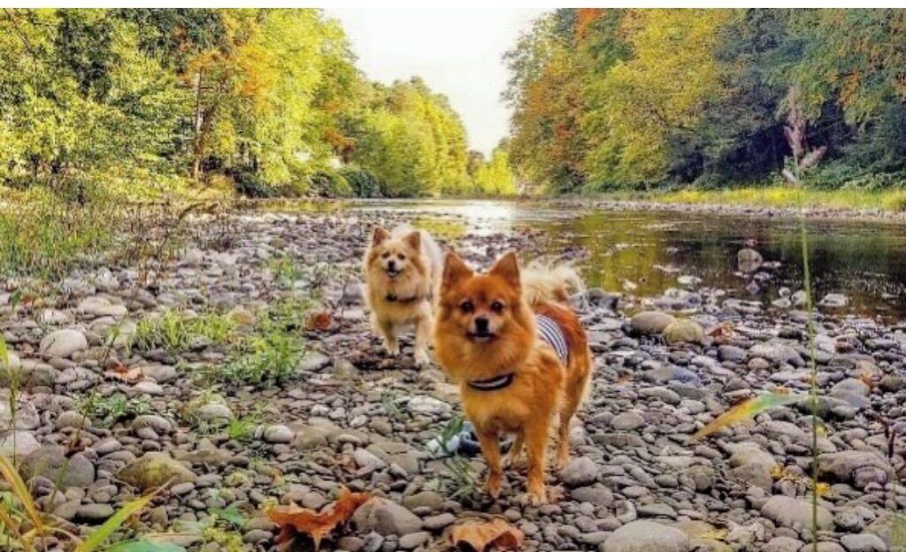 Photo of Outdoor in Tunkhannock