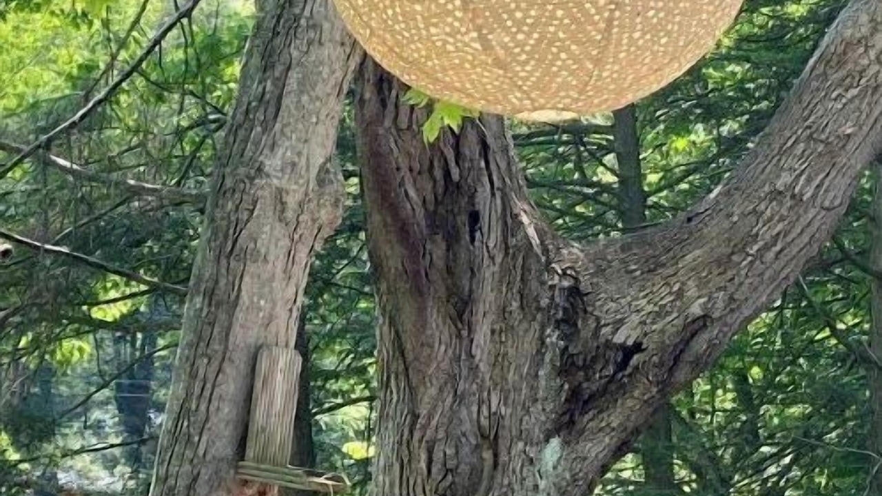 Photo of Others in Tunkhannock