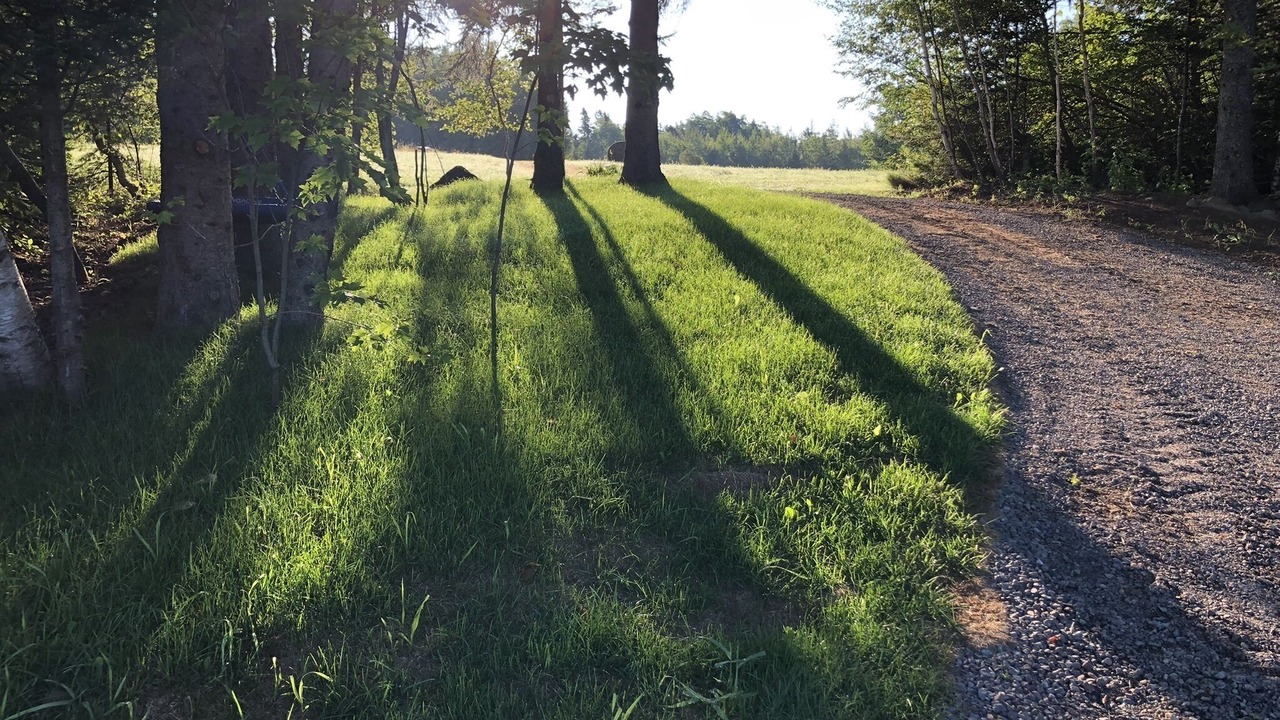 Photo of Outdoor in Sainte-Anne-de-Kent