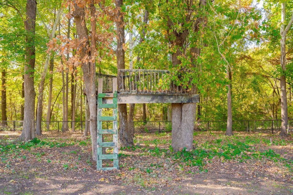 Photo of Outdoor in Aubrey