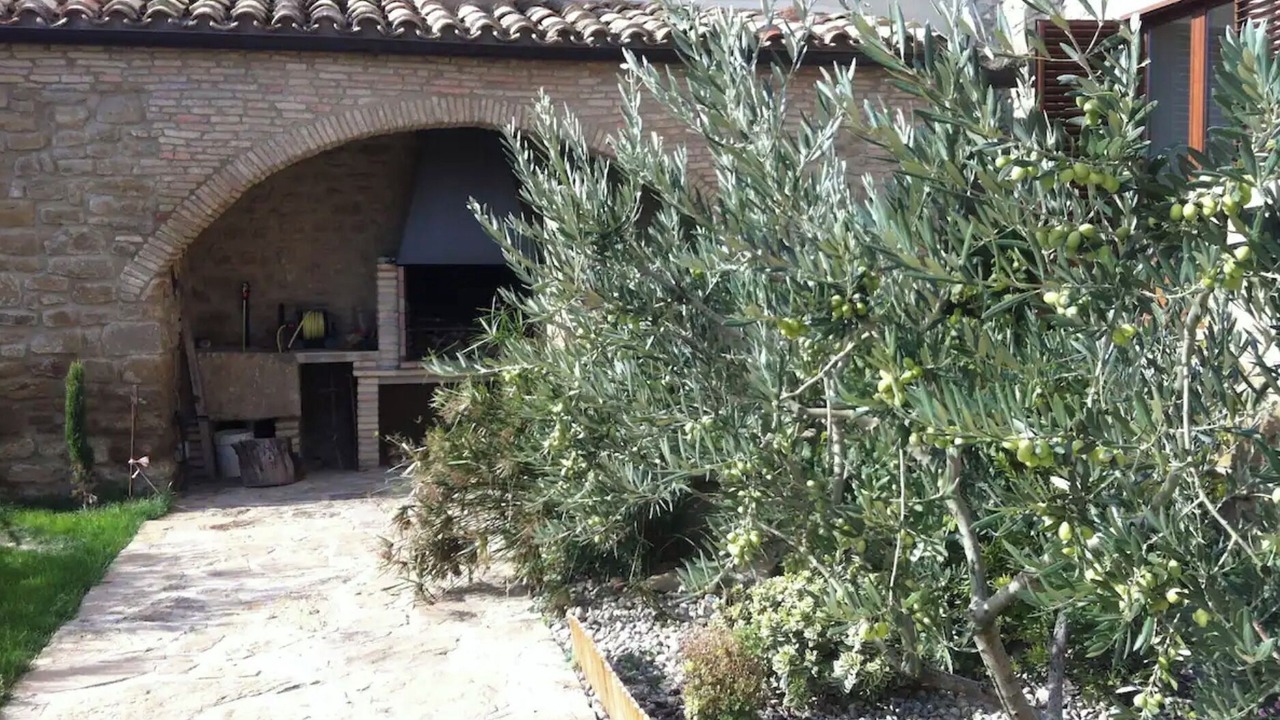 Photo of Outdoor in Artajona