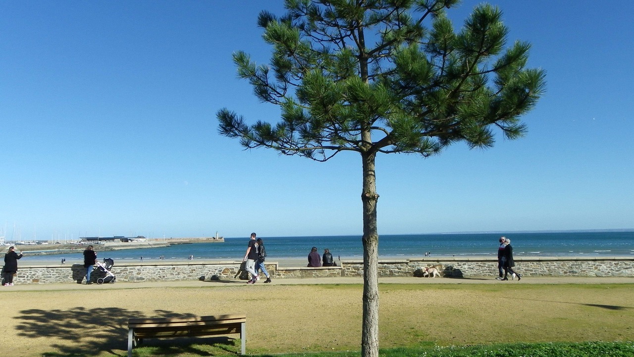 Photo of Others in Binic