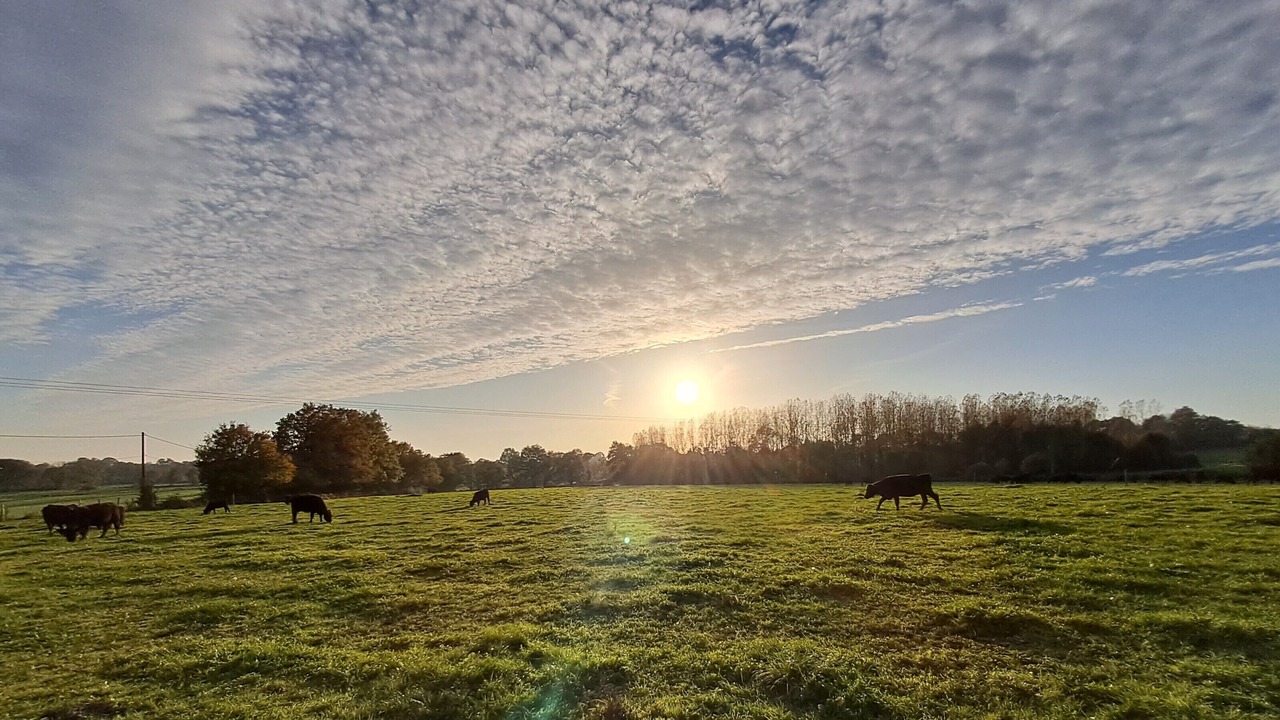 Photo of Outdoor in Rouez