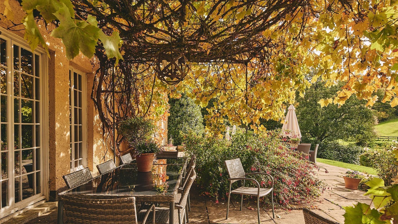 Photo of Outdoor in Christchurch