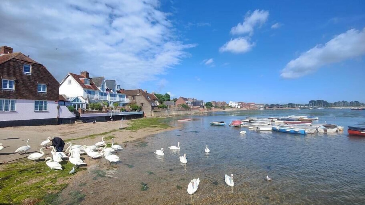 Photo of Others in Emsworth