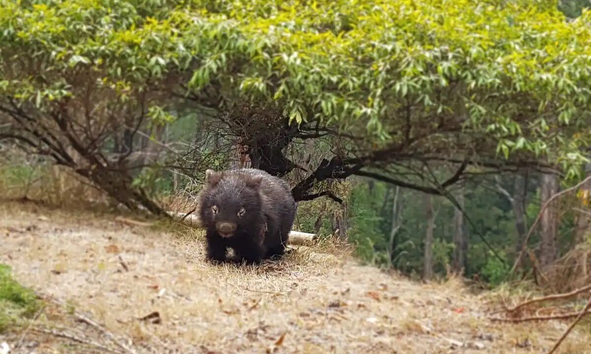 Photo of Others in Gruyere