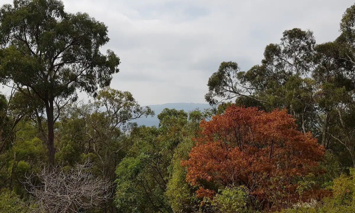 Photo of Outdoor in Gruyere