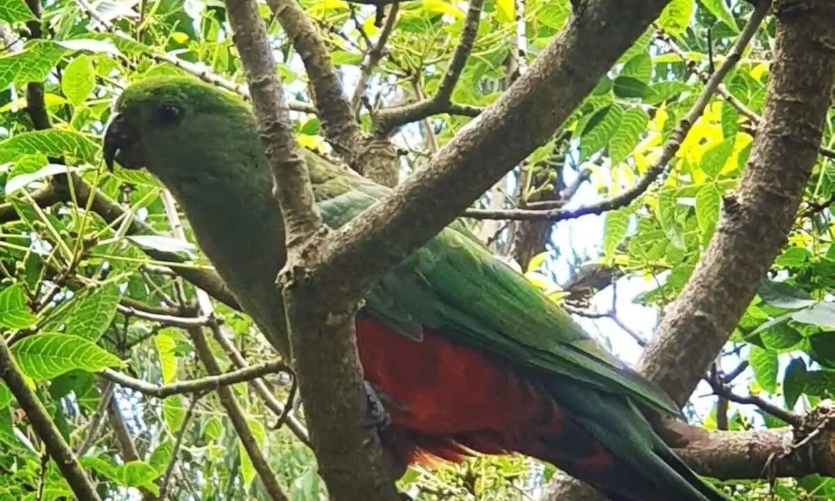 Photo of Others in Gruyere