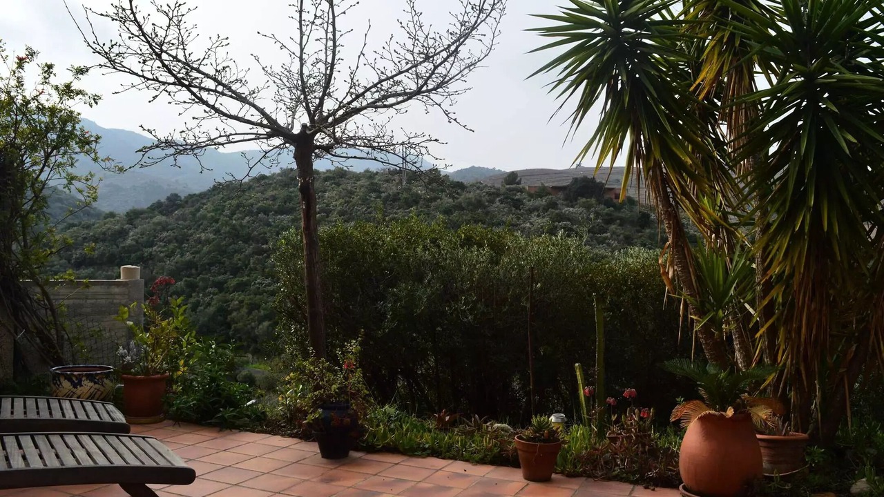 Photo of Patio Balcony in Banyuls-sur-Mer