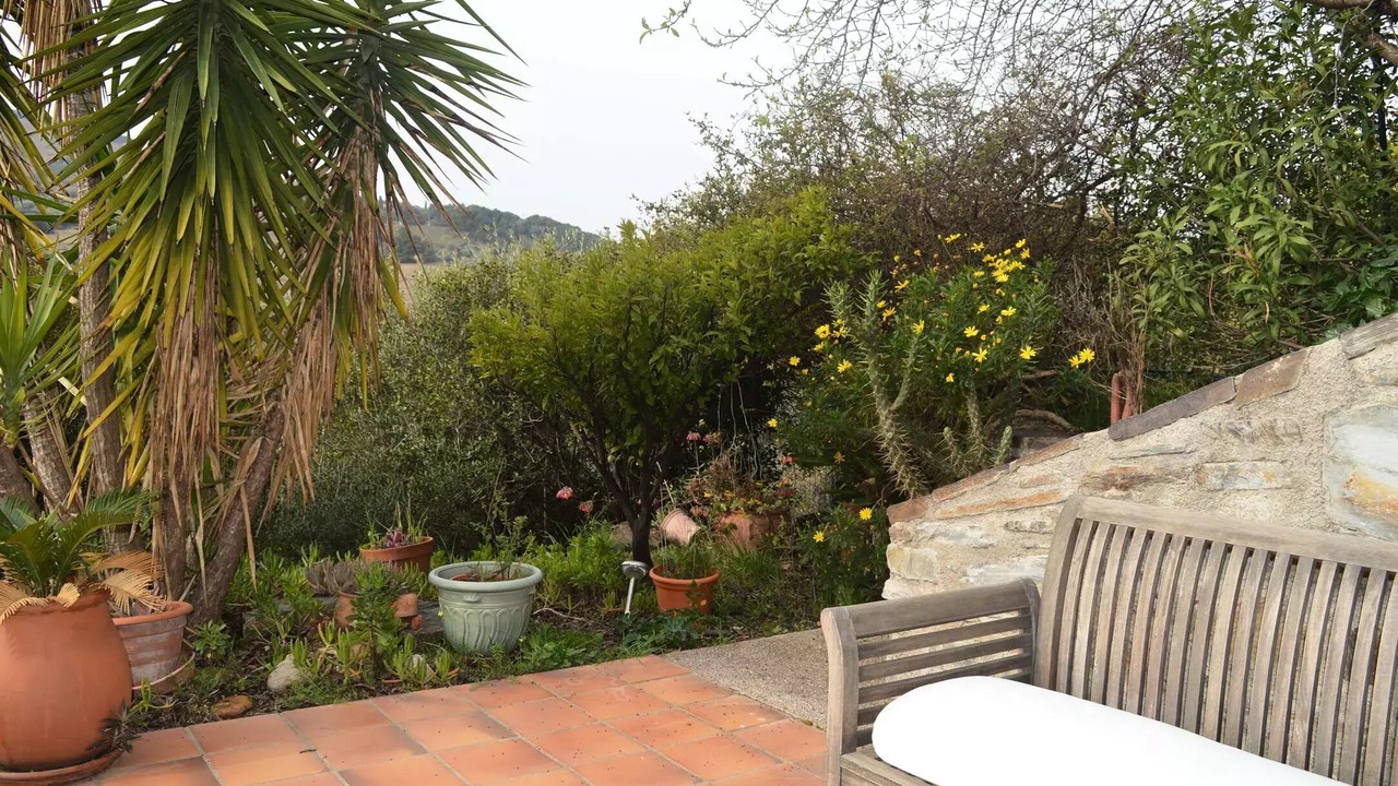 Photo of Patio Balcony in Banyuls-sur-Mer