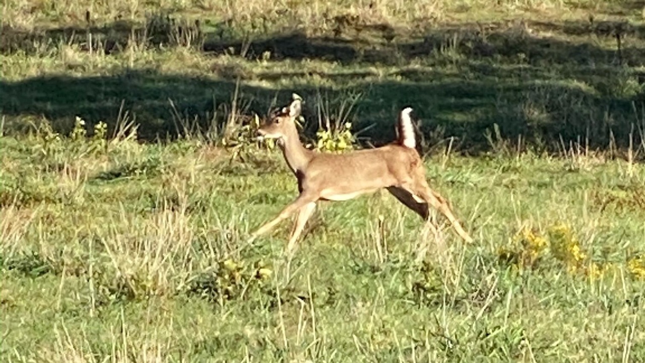 Photo of Outdoor in Mountain View