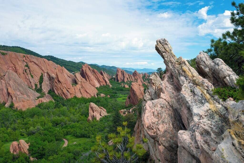 Photo of Others in Roxborough