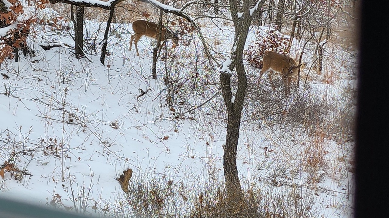 Photo of Others in Skiatook
