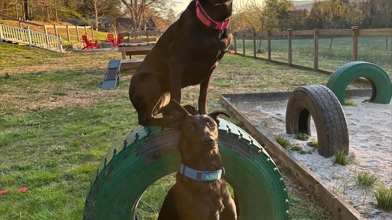 Photo of Others in Ellijay