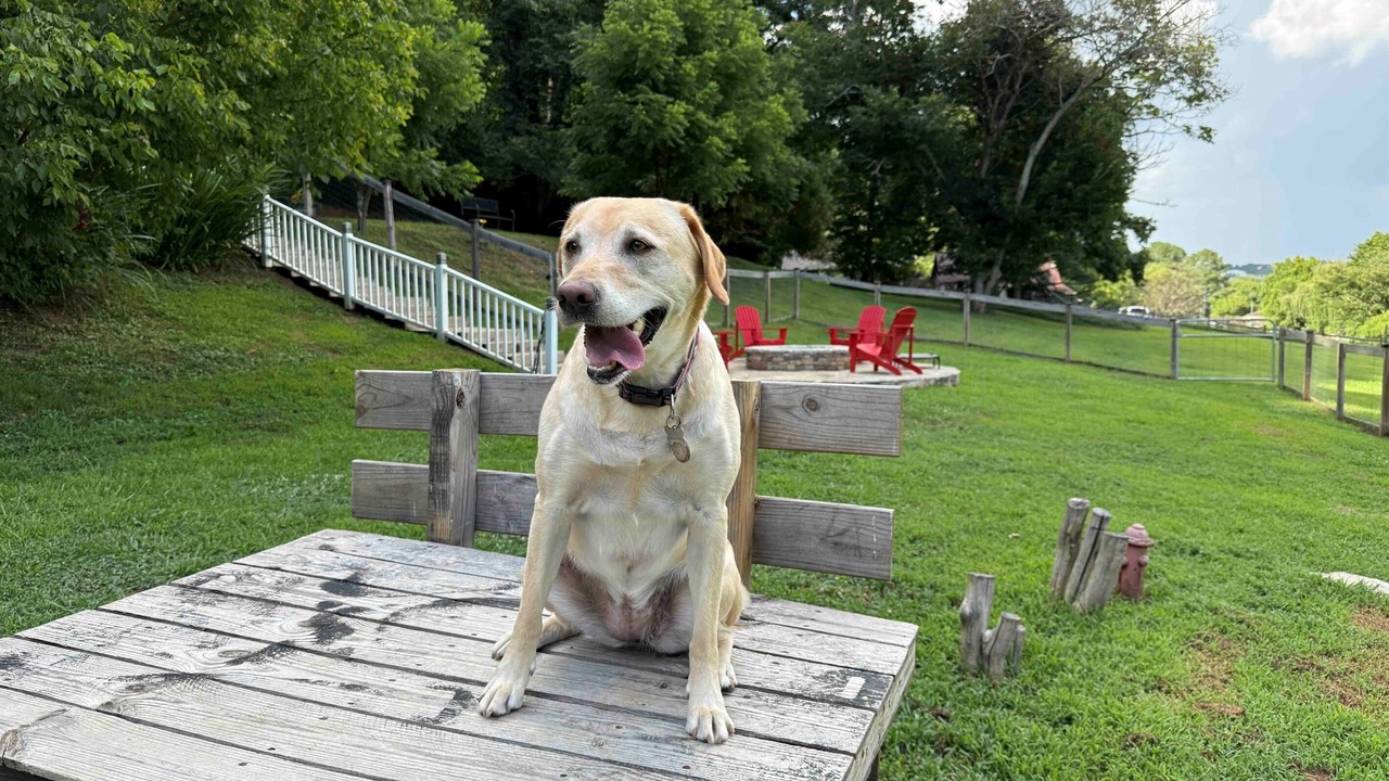 Photo of Others in Ellijay