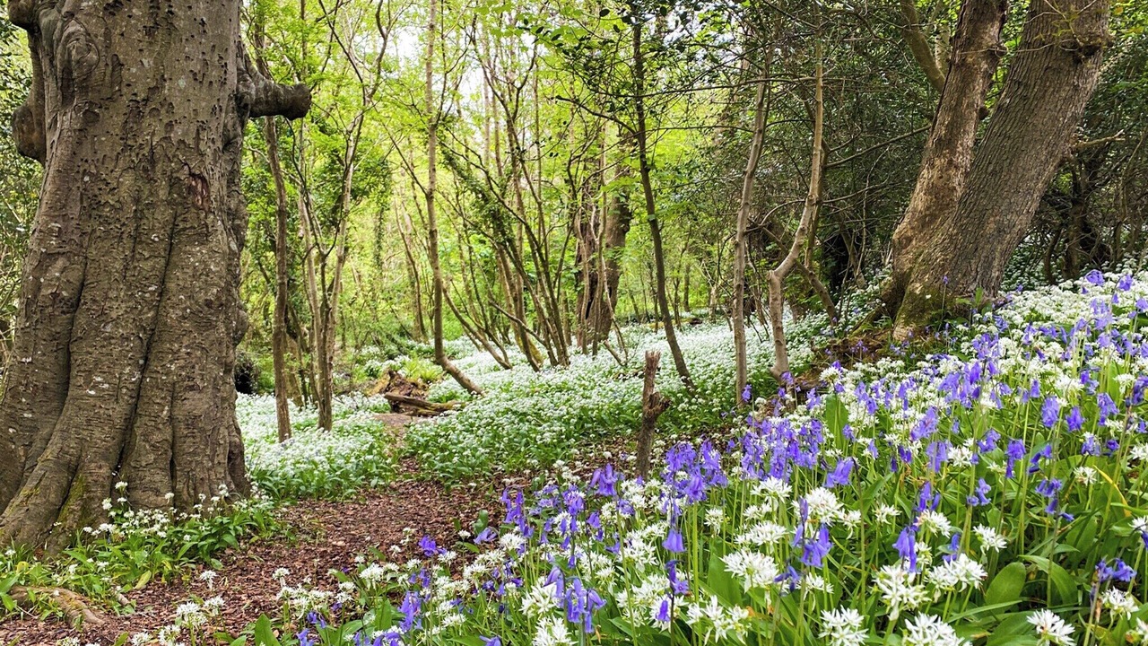 Photo of Others in Truro