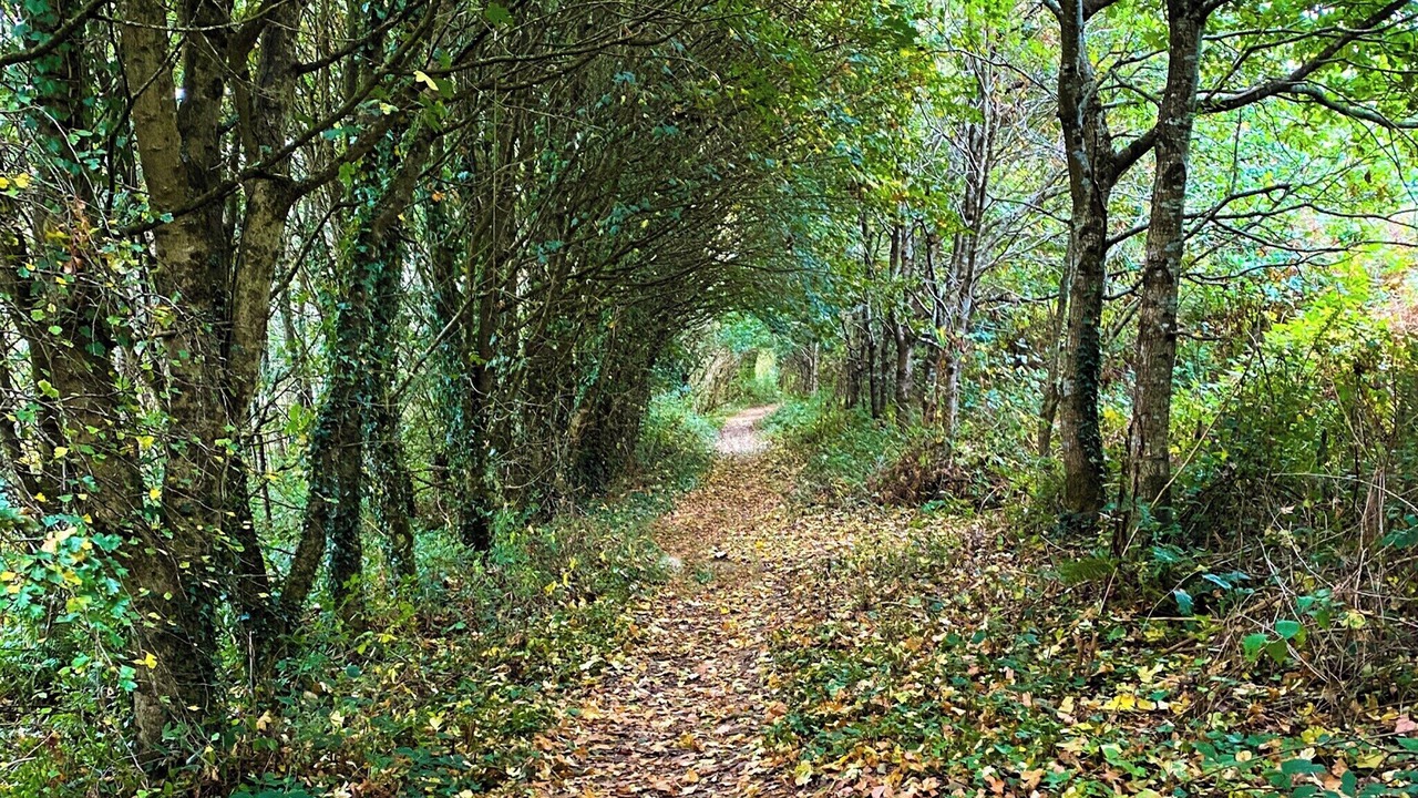 Photo of Others in Truro