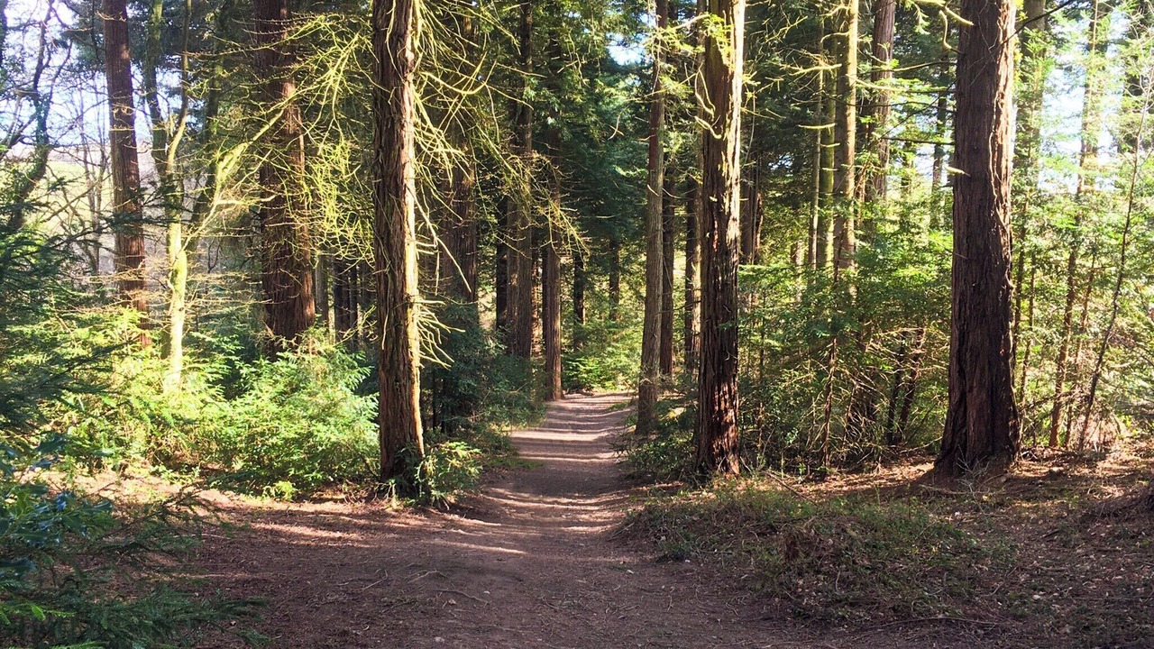 Photo of Others in Truro