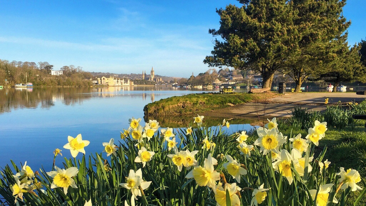 Photo of Others in Truro