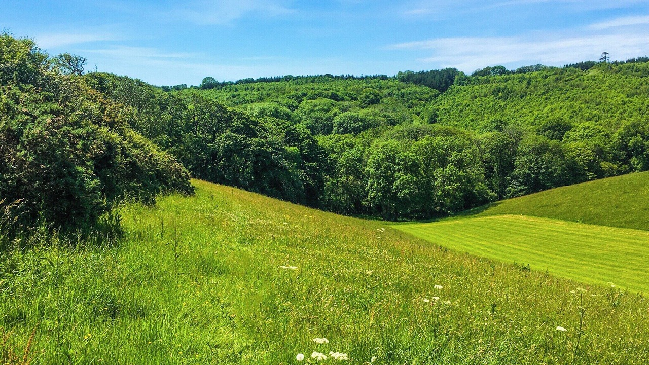Photo of Others in Truro
