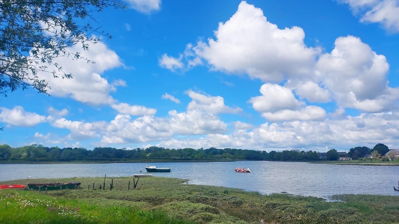 Photo of Others in Sene