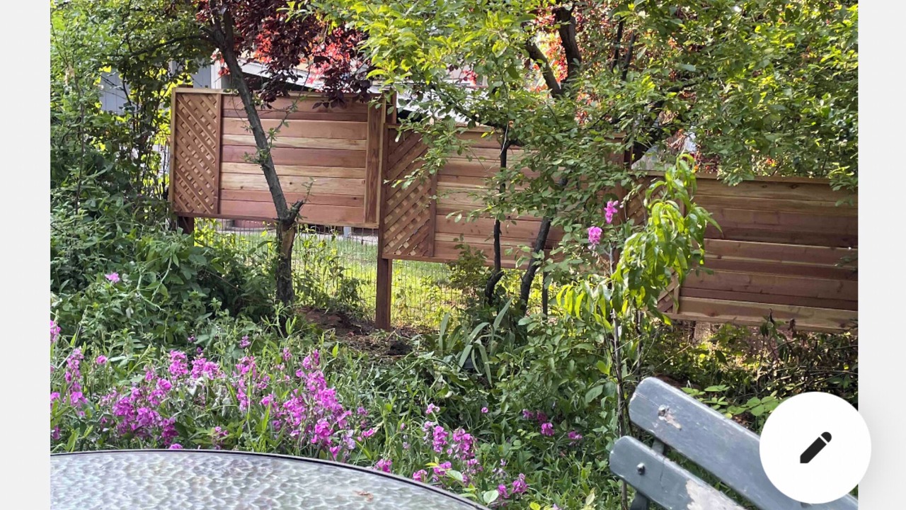 Photo of Outdoor in Dunsmuir