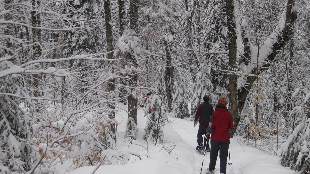 Photo of Others in Lac-Superieur