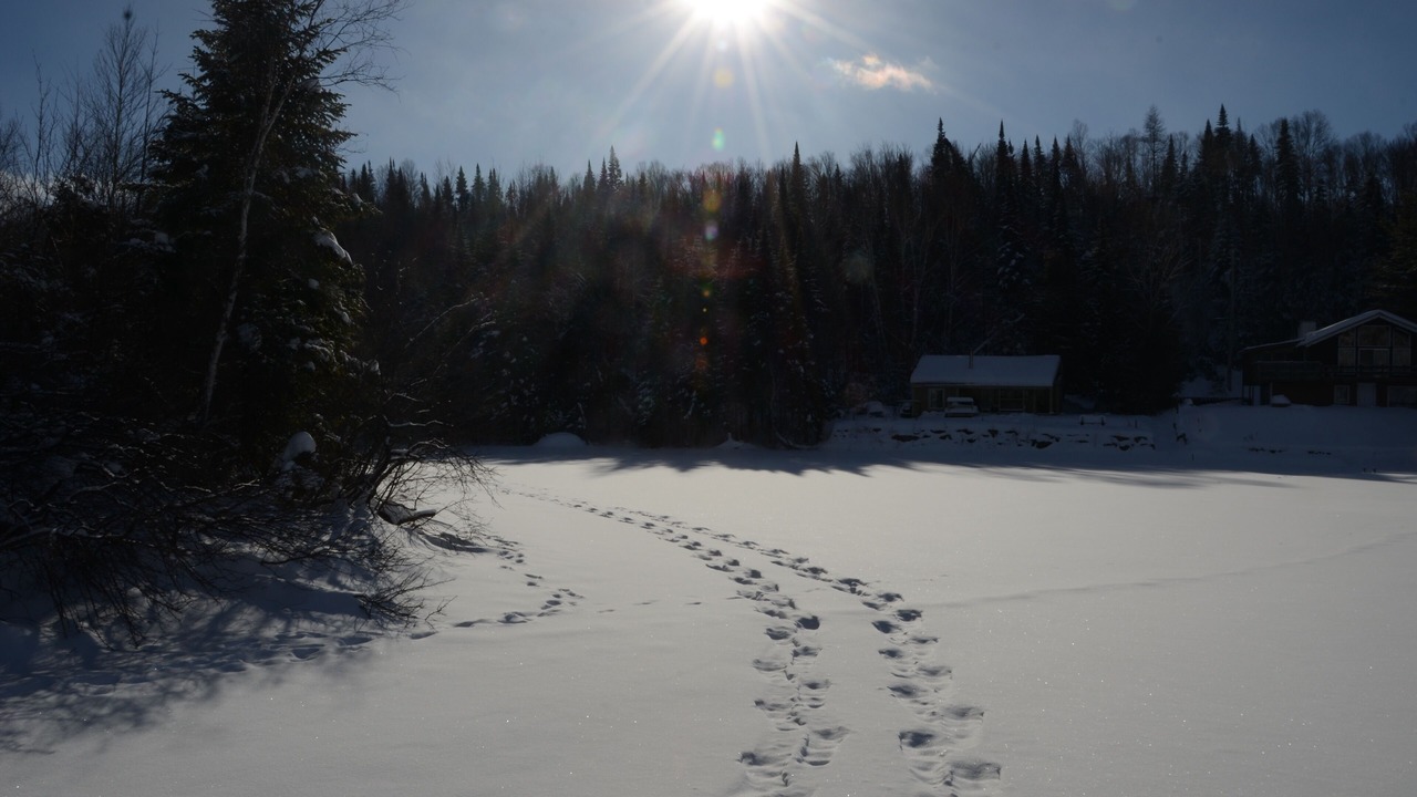 Photo of Others in Lac-Superieur