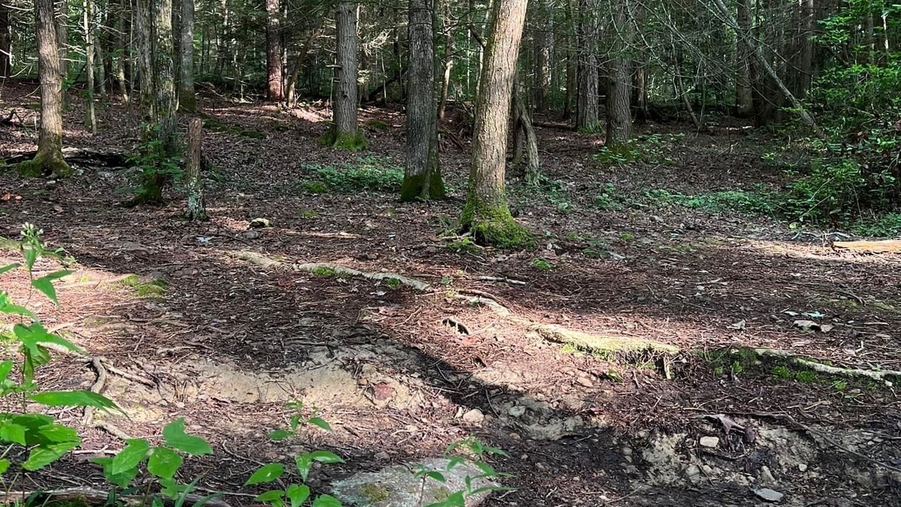 Photo of Outdoor in Gray Hawk