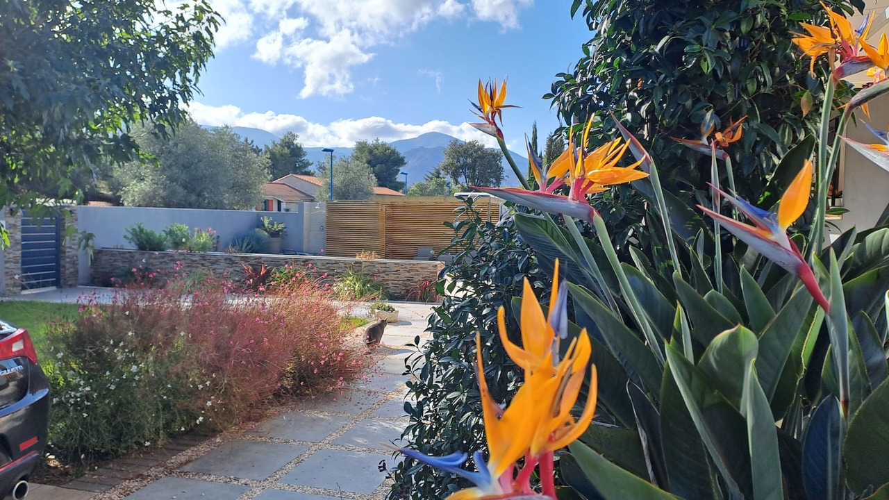Photo of Outdoor in Argeles-sur-Mer