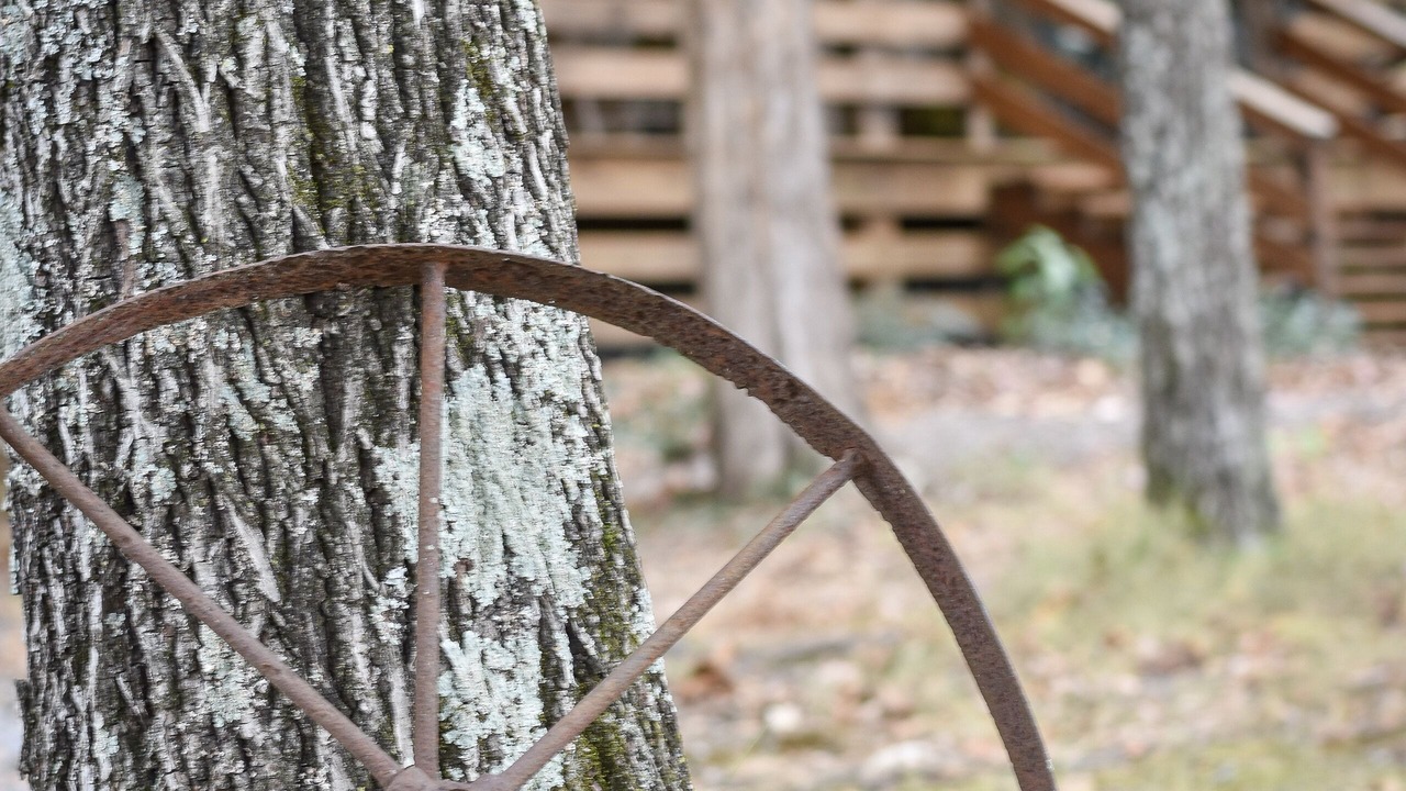 Photo of Outdoor in Etowah