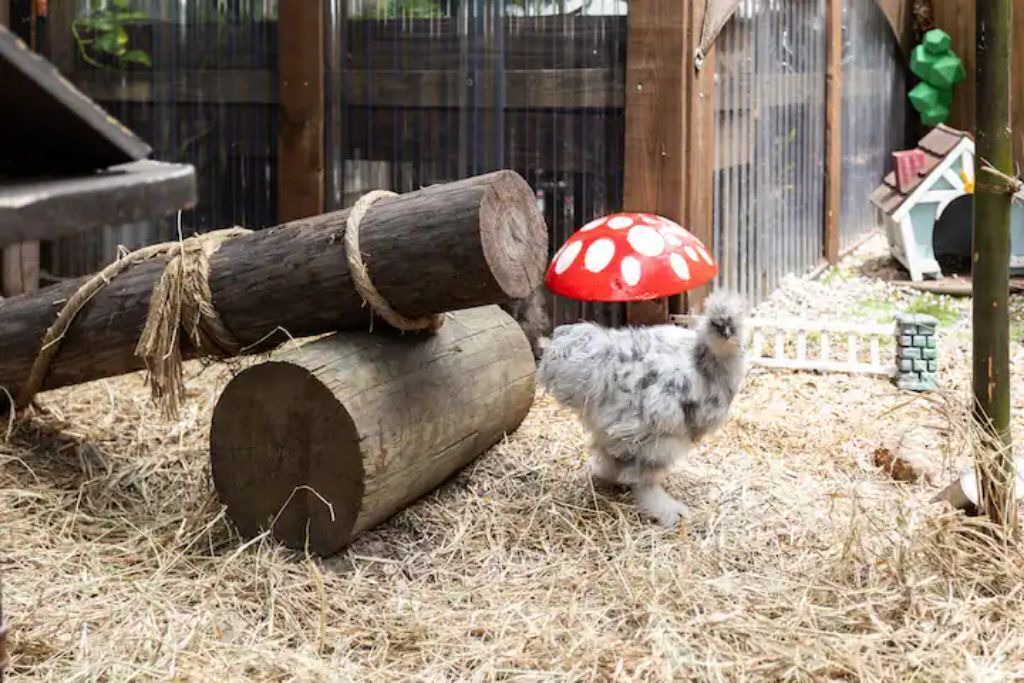 Photo of Outdoor in Ybor City