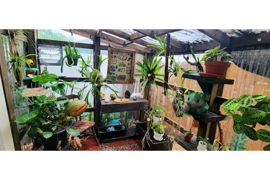 Photo of Others in Ybor City