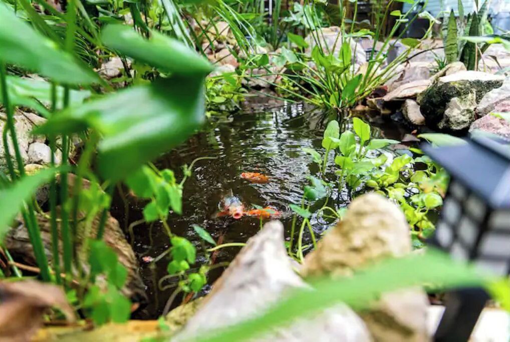 Photo of Bedroom in Ybor City