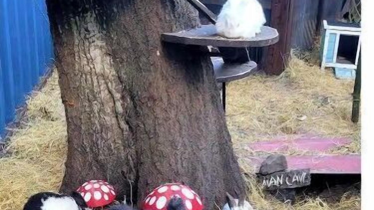 Photo of Outdoor in Ybor City