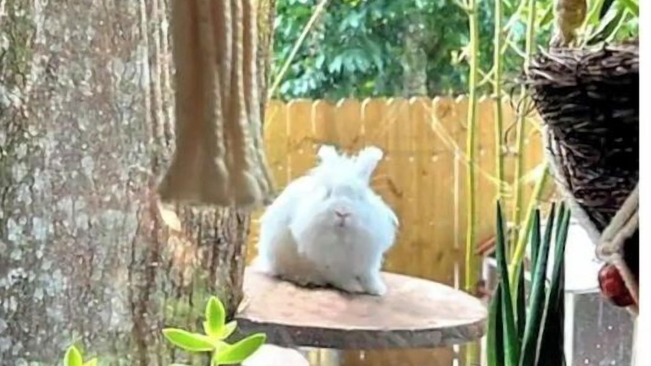 Photo of Others in Ybor City