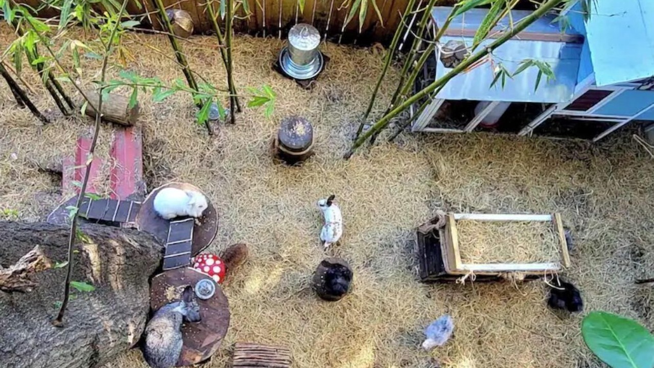 Photo of Outdoor in Ybor City