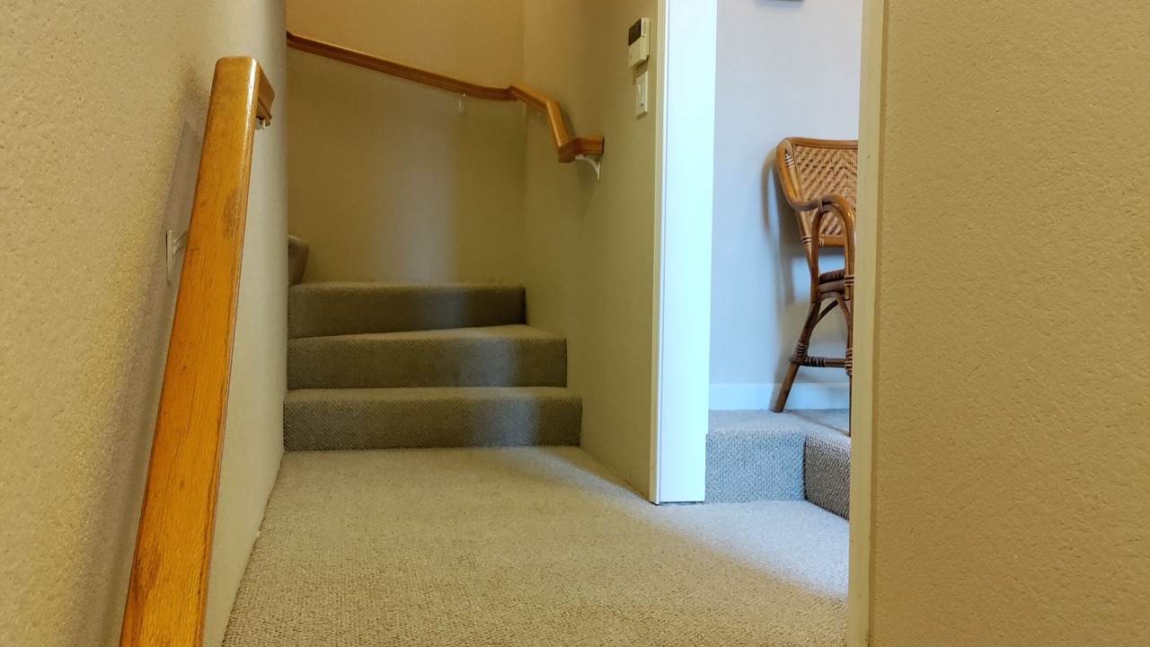 Photo of Others in Hollister