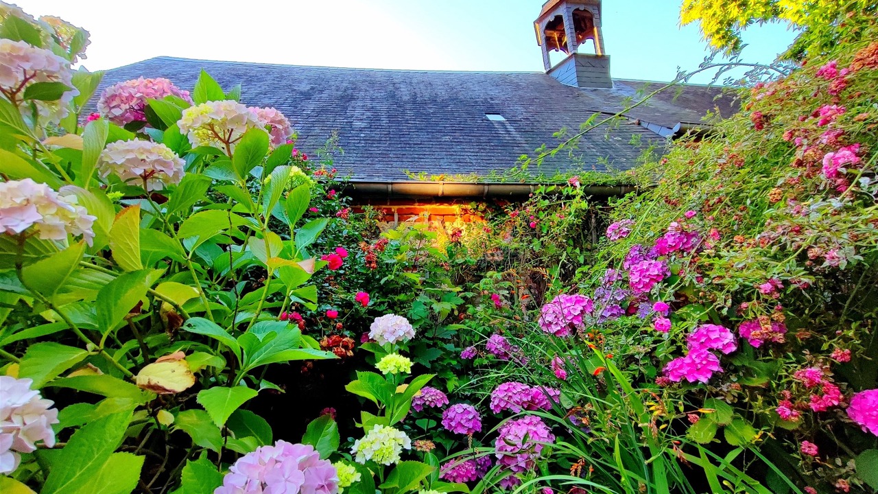 Photo of Outdoor in Sassetot-le-Mauconduit