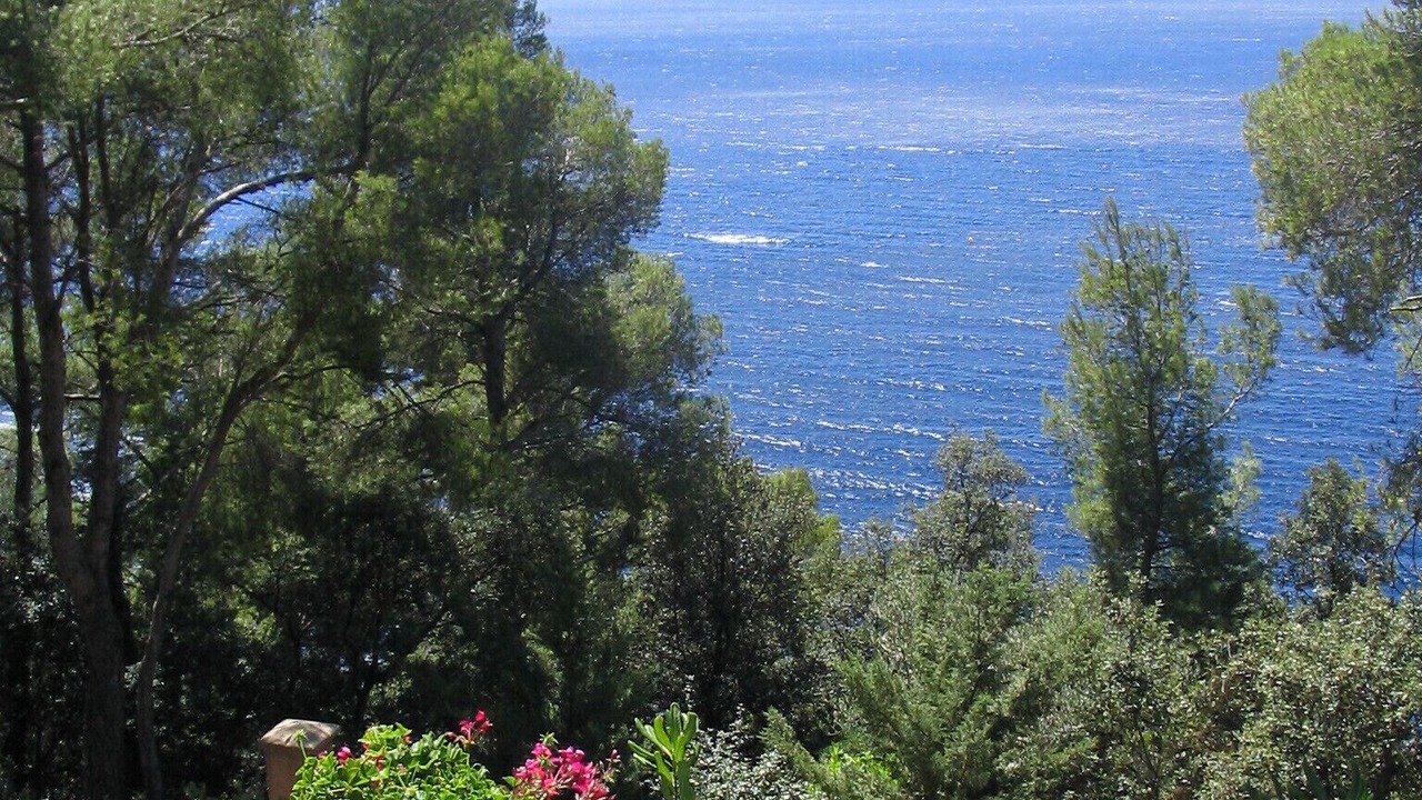 Photo of Outdoor in Cavaliere