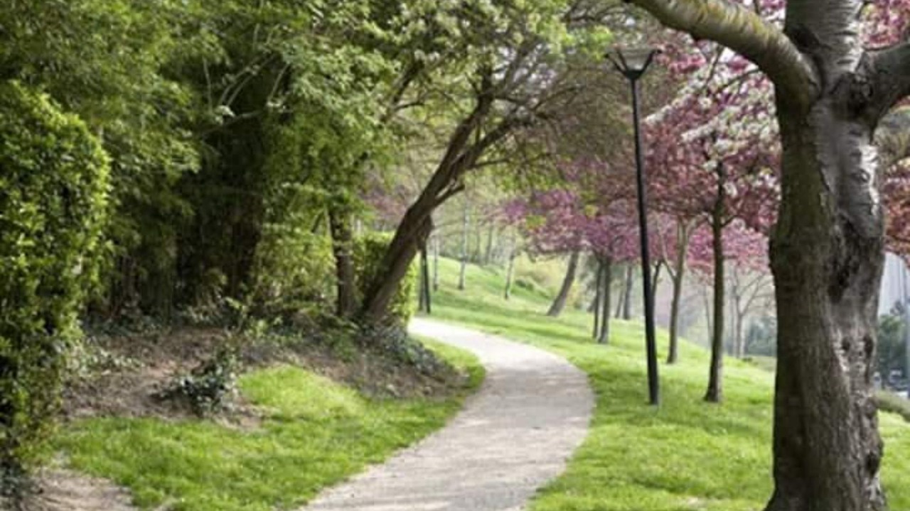 Photo of Outdoor in Suresnes