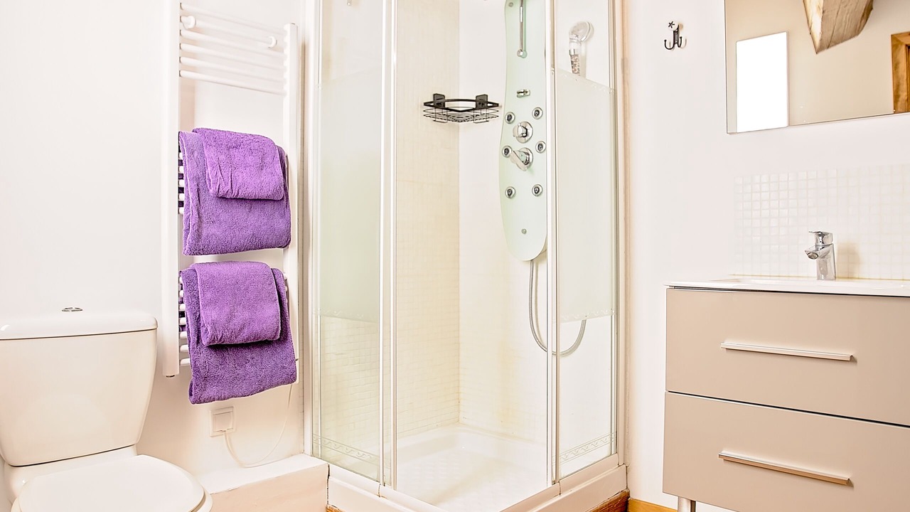 Photo of Bathroom in Tourouzelle