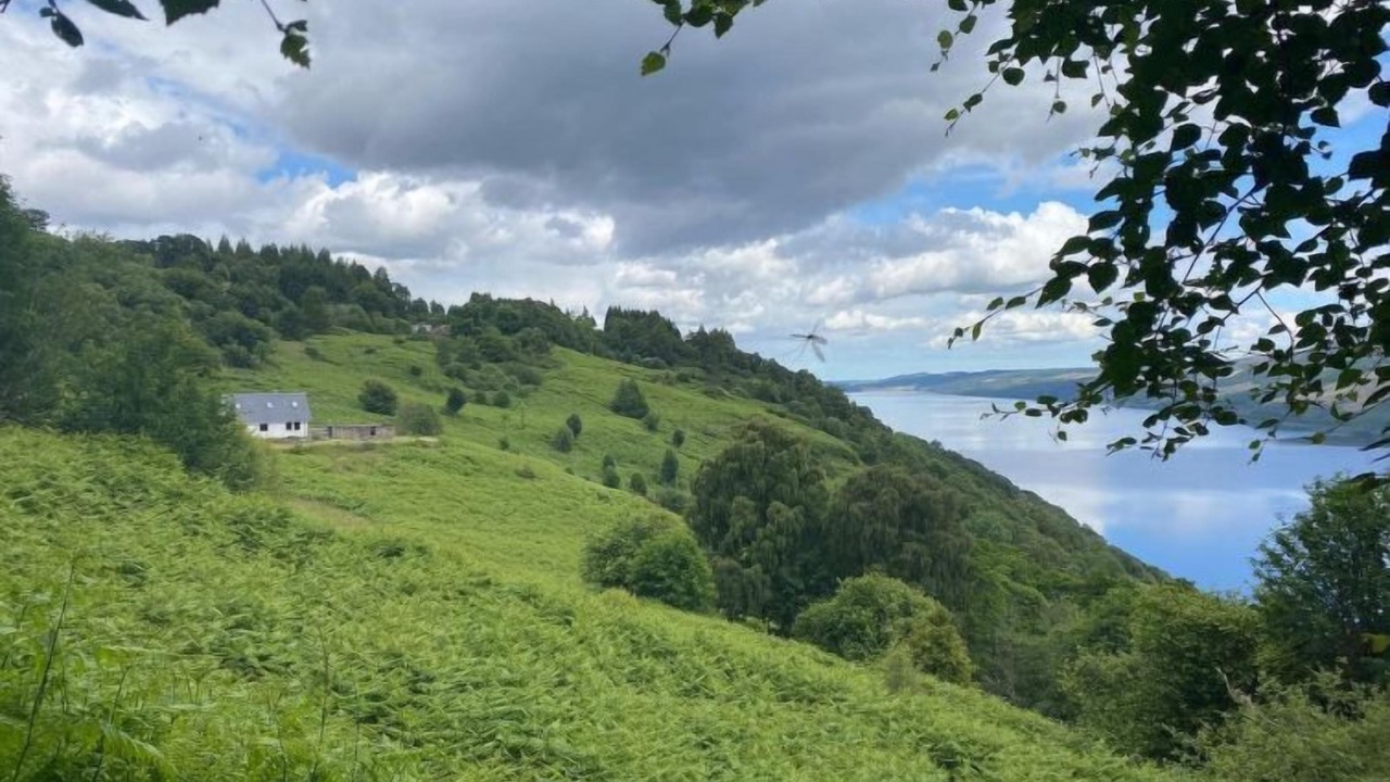 Photo of Others in Lewiston