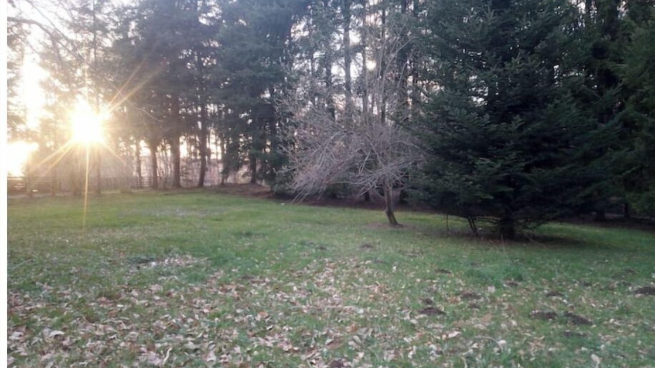 Photo of Outdoor in Courteix